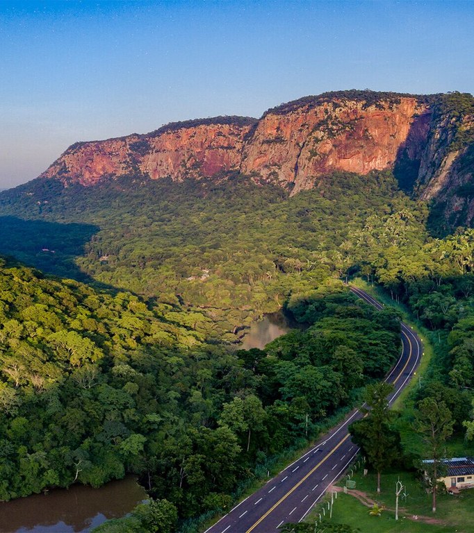 Estrada Parque - Palmeiras